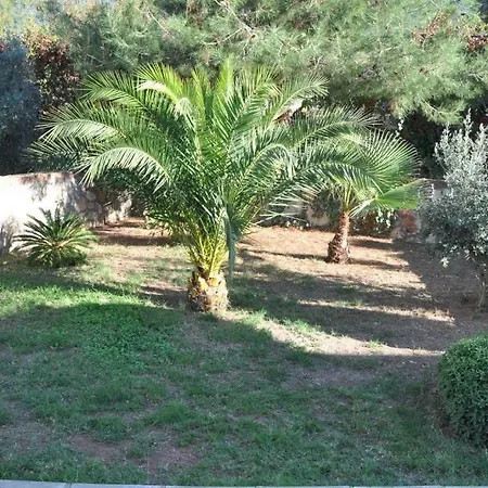 Sunset A * 페티예